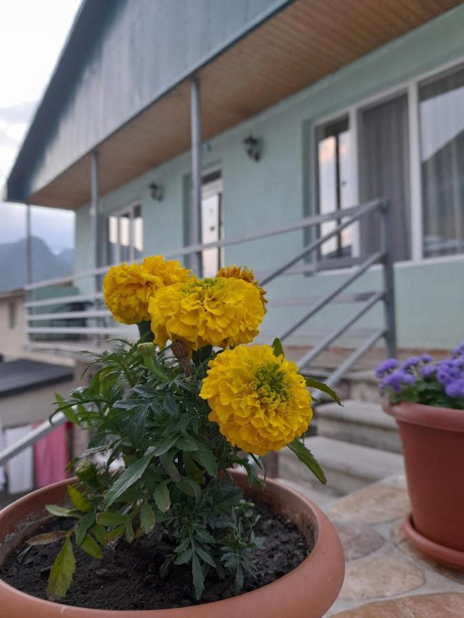 Kera Guest House Kazbegi Εξωτερικό φωτογραφία